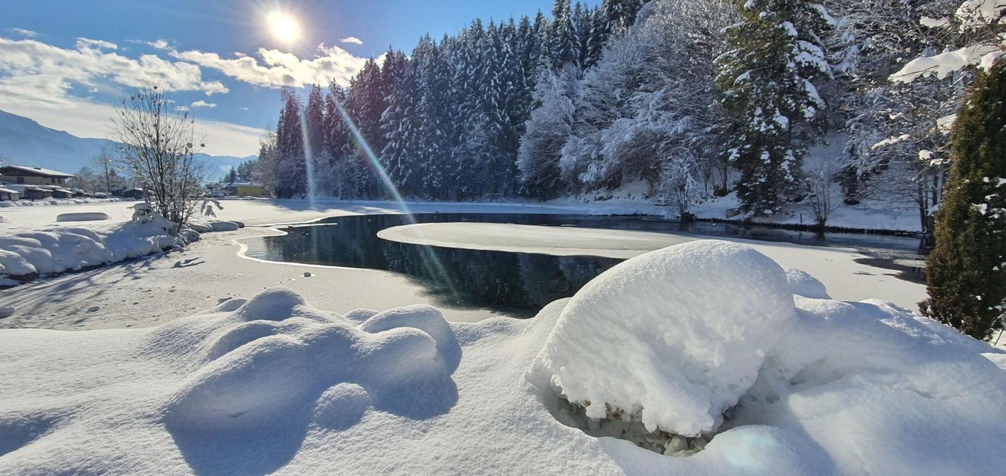 Hotel Bad Neunbrunnen Am Waldsee - Non Halal マイスホーフェン エクステリア 写真
